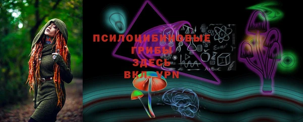 прущие грибы Вязники