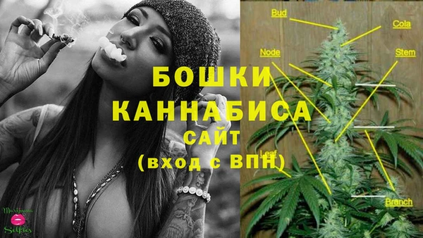 прущие грибы Вязники