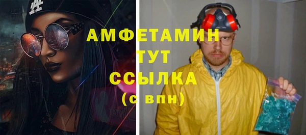 прущие грибы Вязники