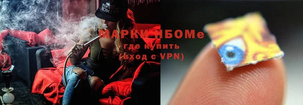 прущие грибы Вязники