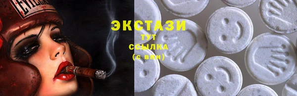 гашик Вязьма