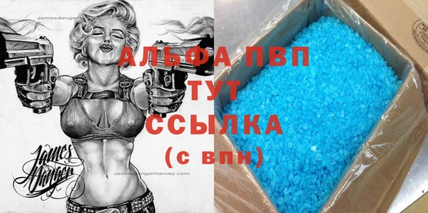 гашик Вязьма