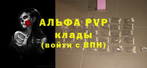 гашик Вязьма