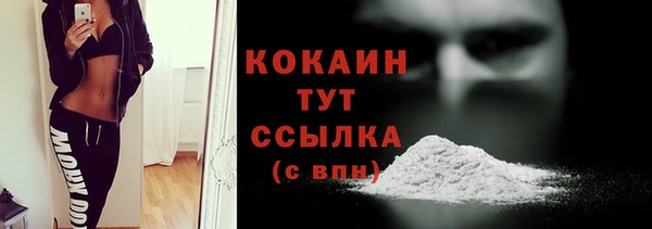 гашик Вязьма