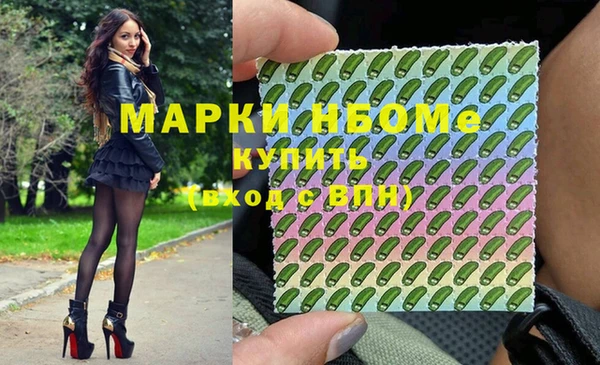 гашик Вязьма