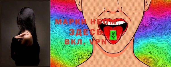 прущие грибы Вязники