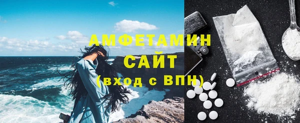 прущие грибы Вязники