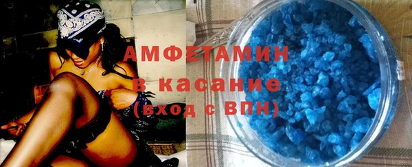 прущие грибы Вязники