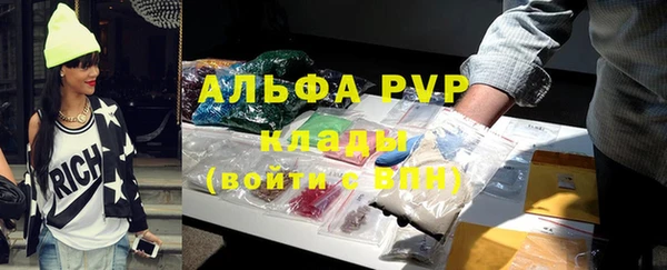 прущие грибы Вязники