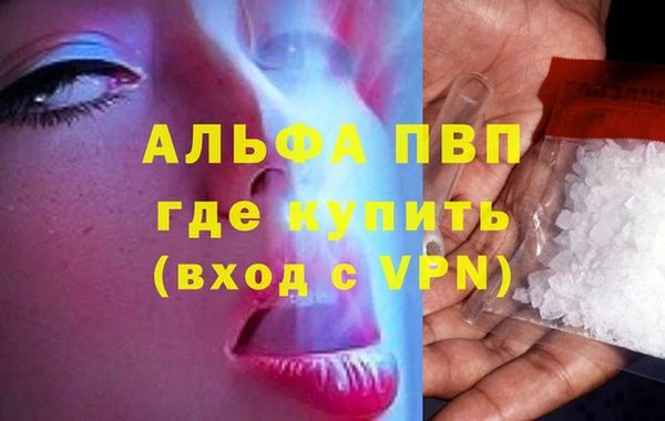 гашик Вязьма