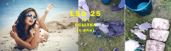 гашик Вязьма